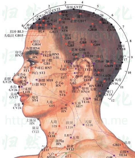 腦門穴|腦戶穴可改善頭暈,眩暈失眠,項強,口不能言